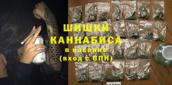дживик Вязьма