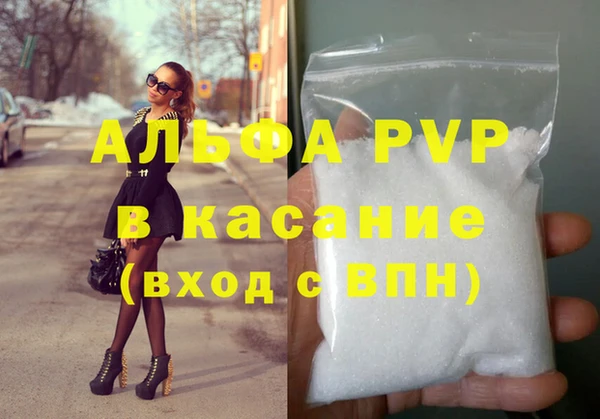 гидра Володарск