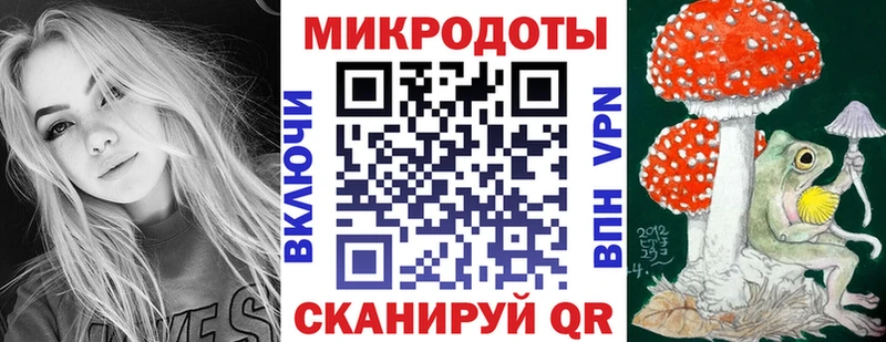 Галлюциногенные грибы Psilocybine cubensis  Западная Двина 